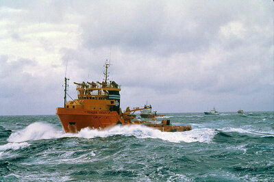 Yno 167 Tender Trout